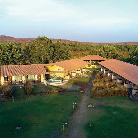Asiatic Lion Lodge Sasan Gir Exterior photo