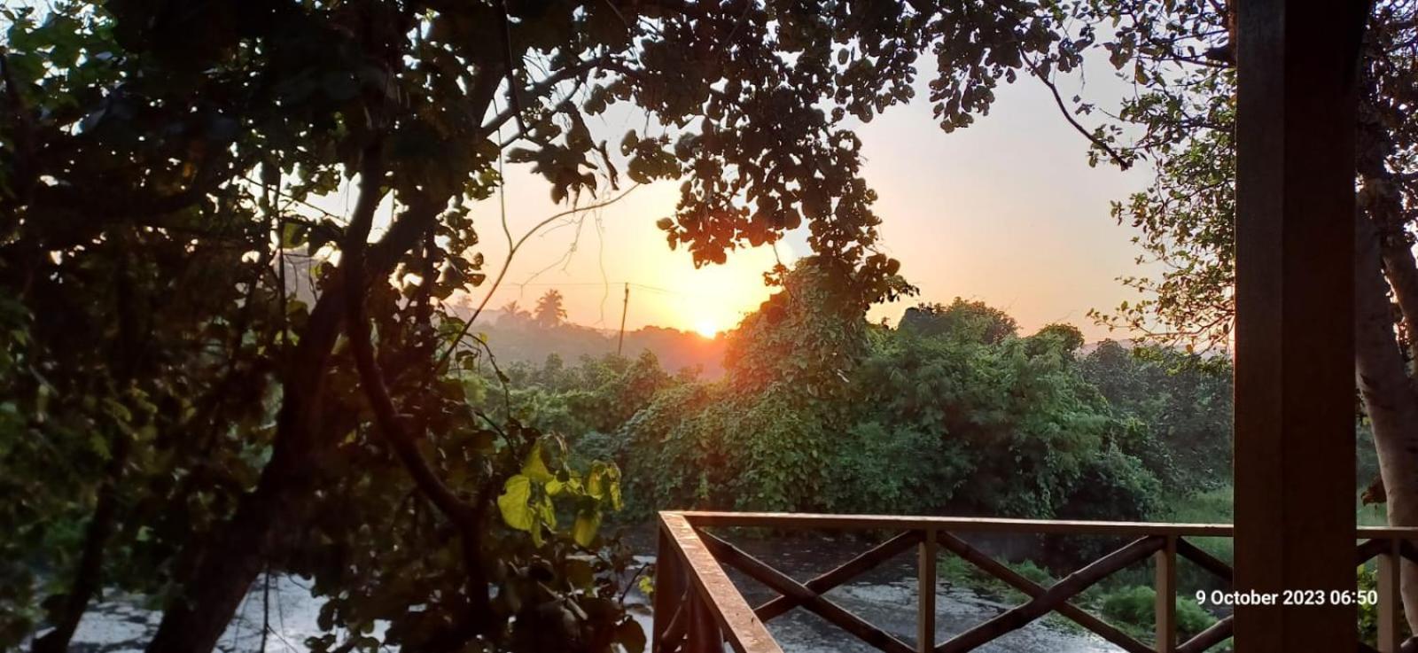 Asiatic Lion Lodge Sasan Gir Exterior photo