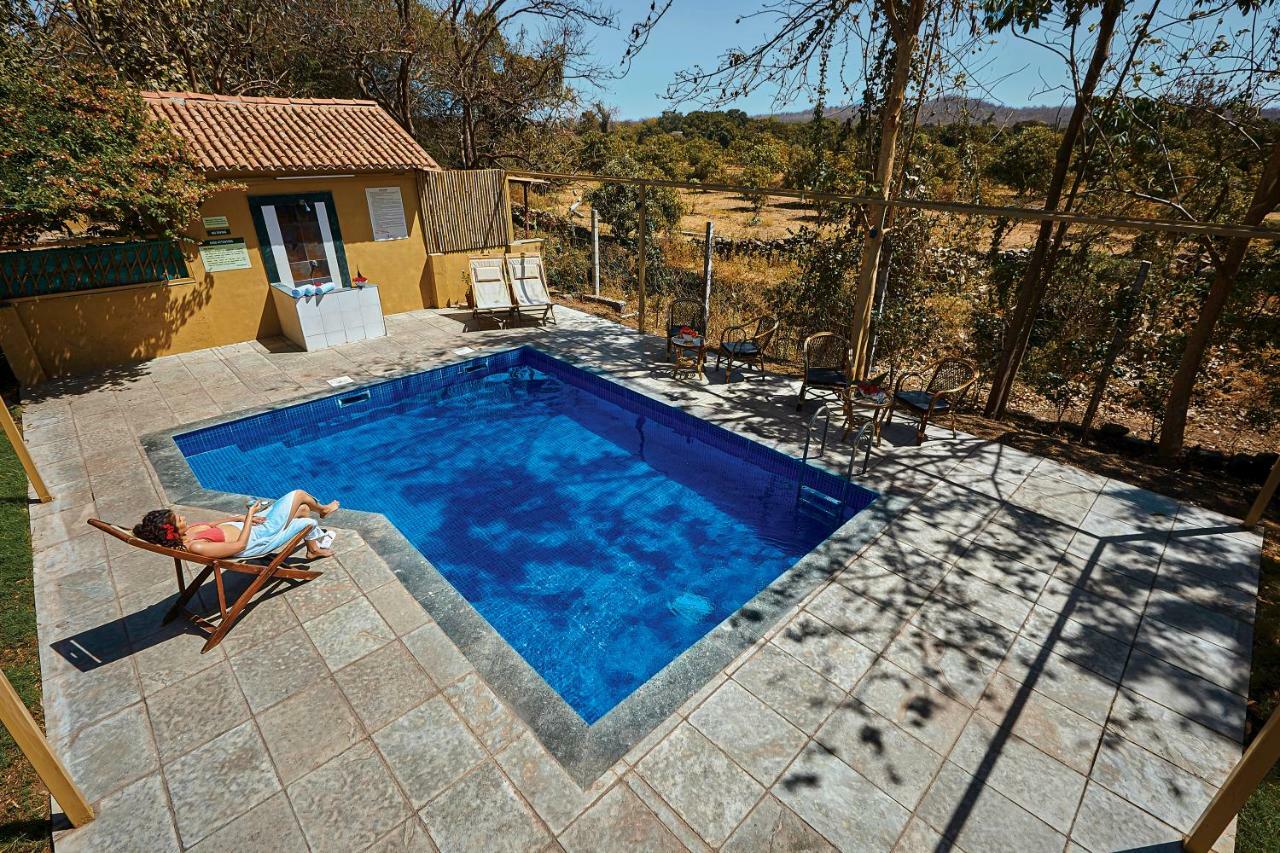 Asiatic Lion Lodge Sasan Gir Exterior photo